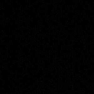 Meet your Posher, Oscar